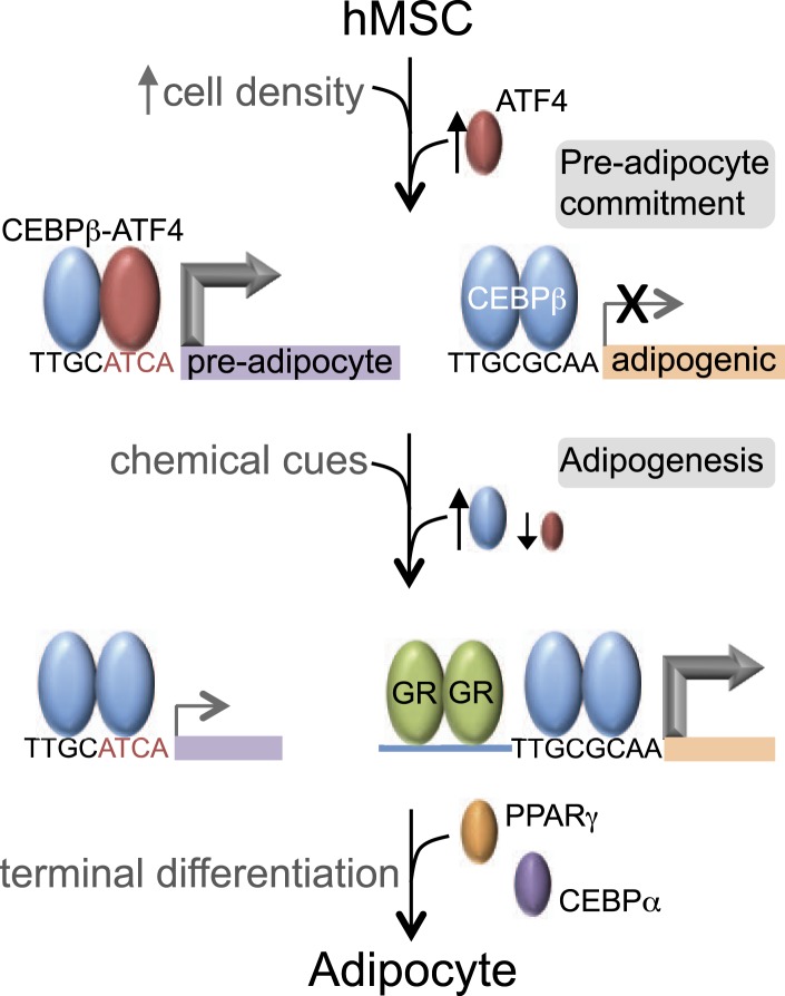 Figure 7.