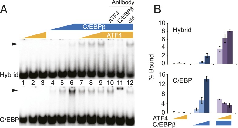 Figure 5—figure supplement 1.