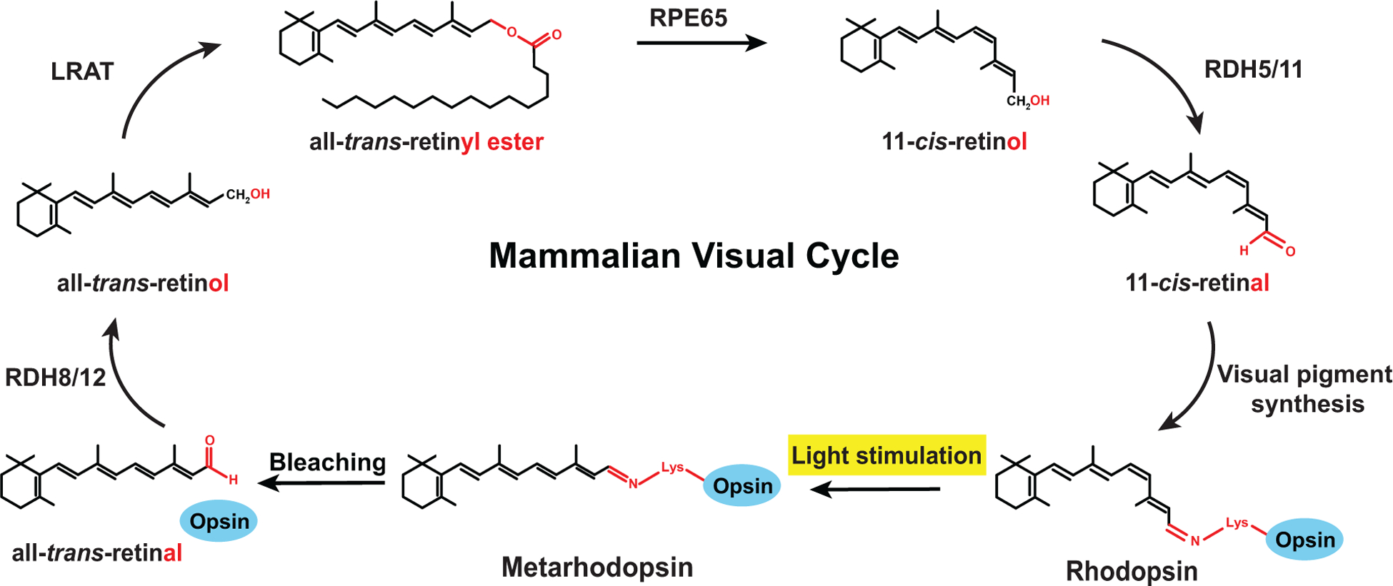 Figure 3.