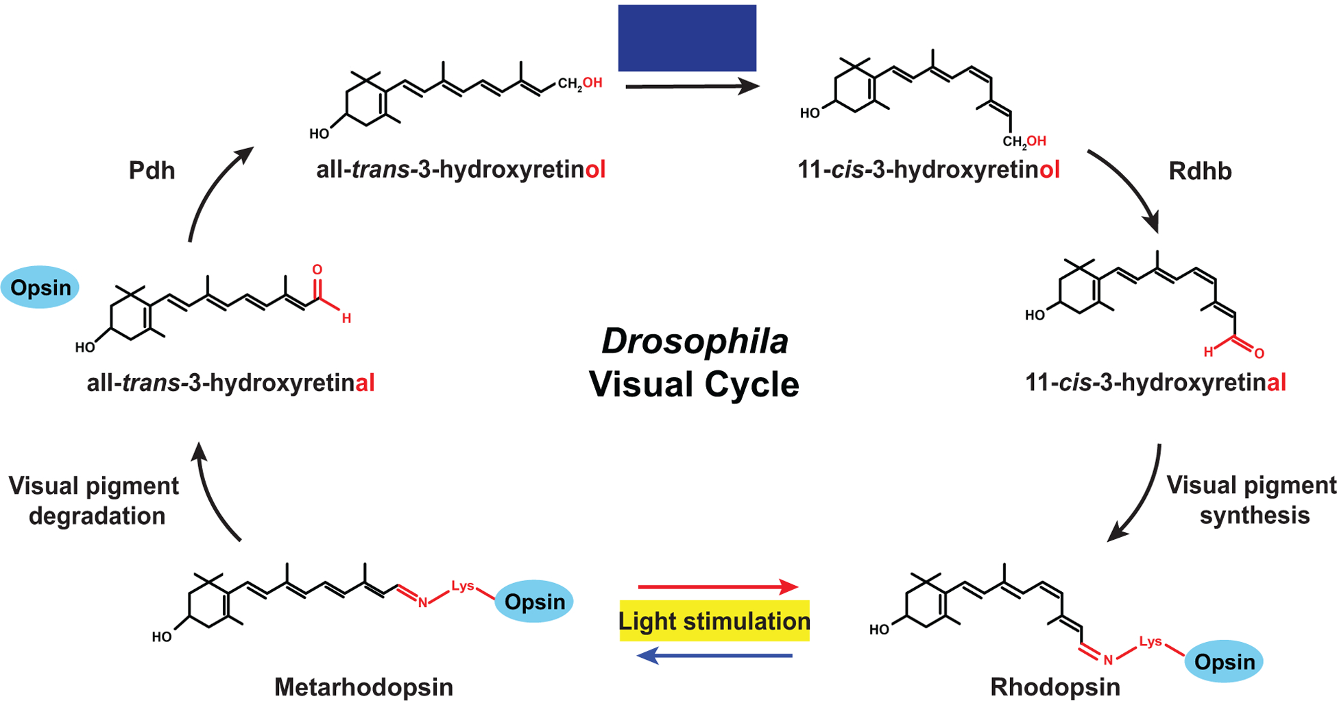 Figure 6.