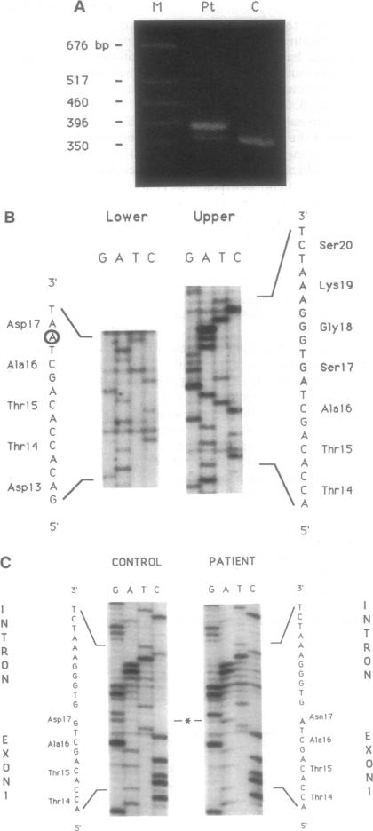 graphic file with name pnas01142-0280-a.jpg