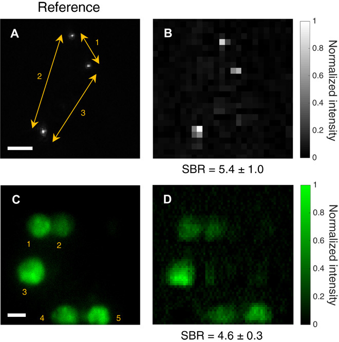 Fig. 3