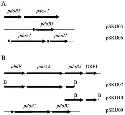 FIG. 5.