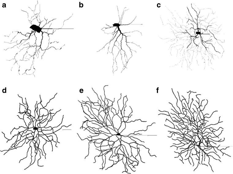 Fig. 1