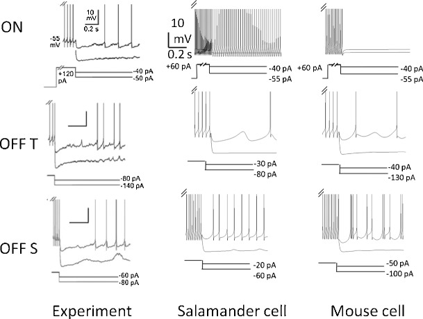 Fig. 13