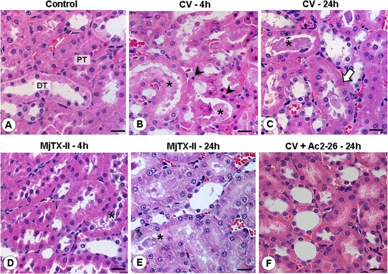 Fig 5