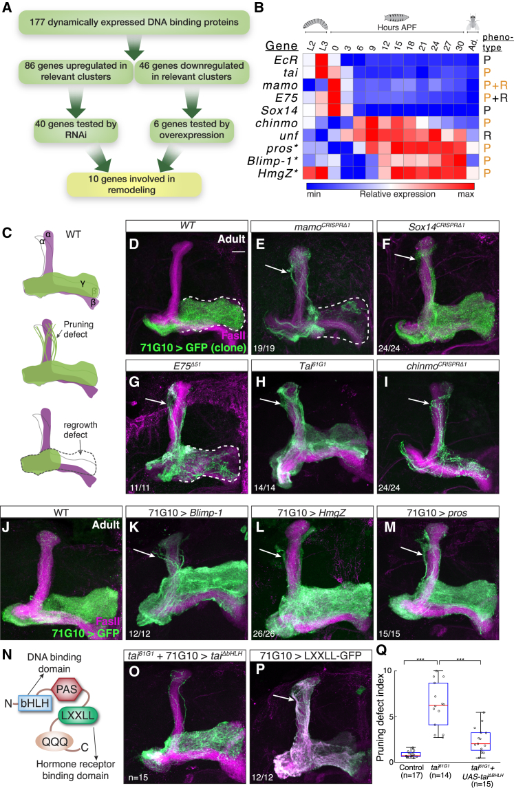 Figure 3