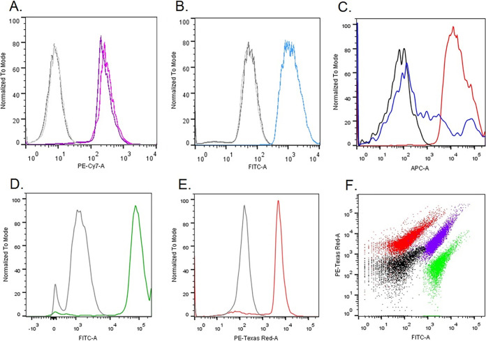 FIG 2