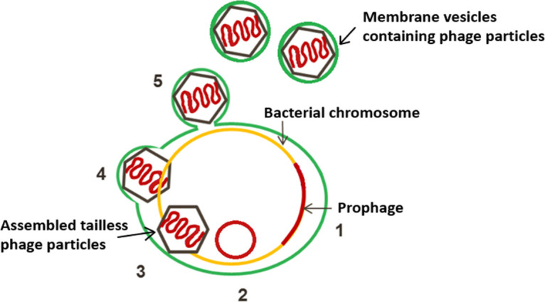 FIG 6