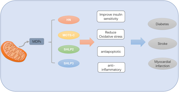 Figure 2