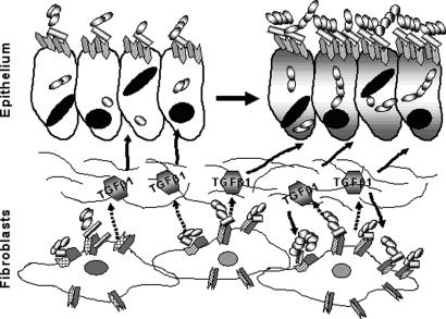 Fig. 8.