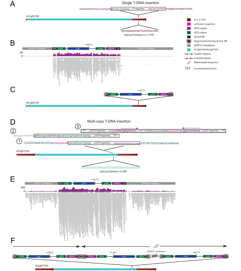 Figure 1—figure supplement 2.