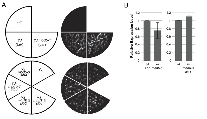 Figure 2—figure supplement 3.