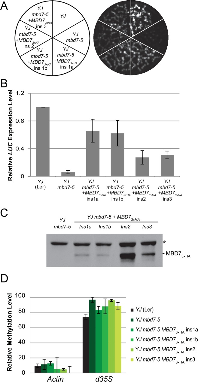 Figure 4—figure supplement 1.