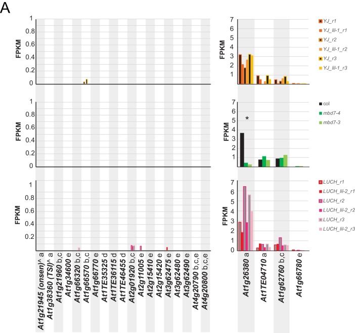 Figure 6—figure supplement 4.