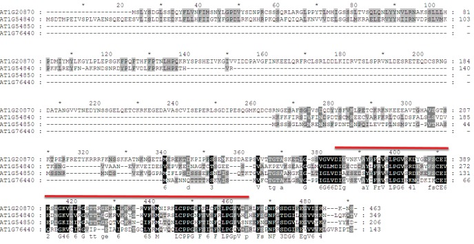 Figure 1—figure supplement 3.