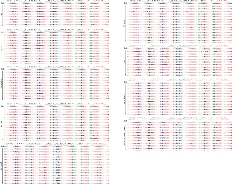 Figure 5—figure supplement 1.