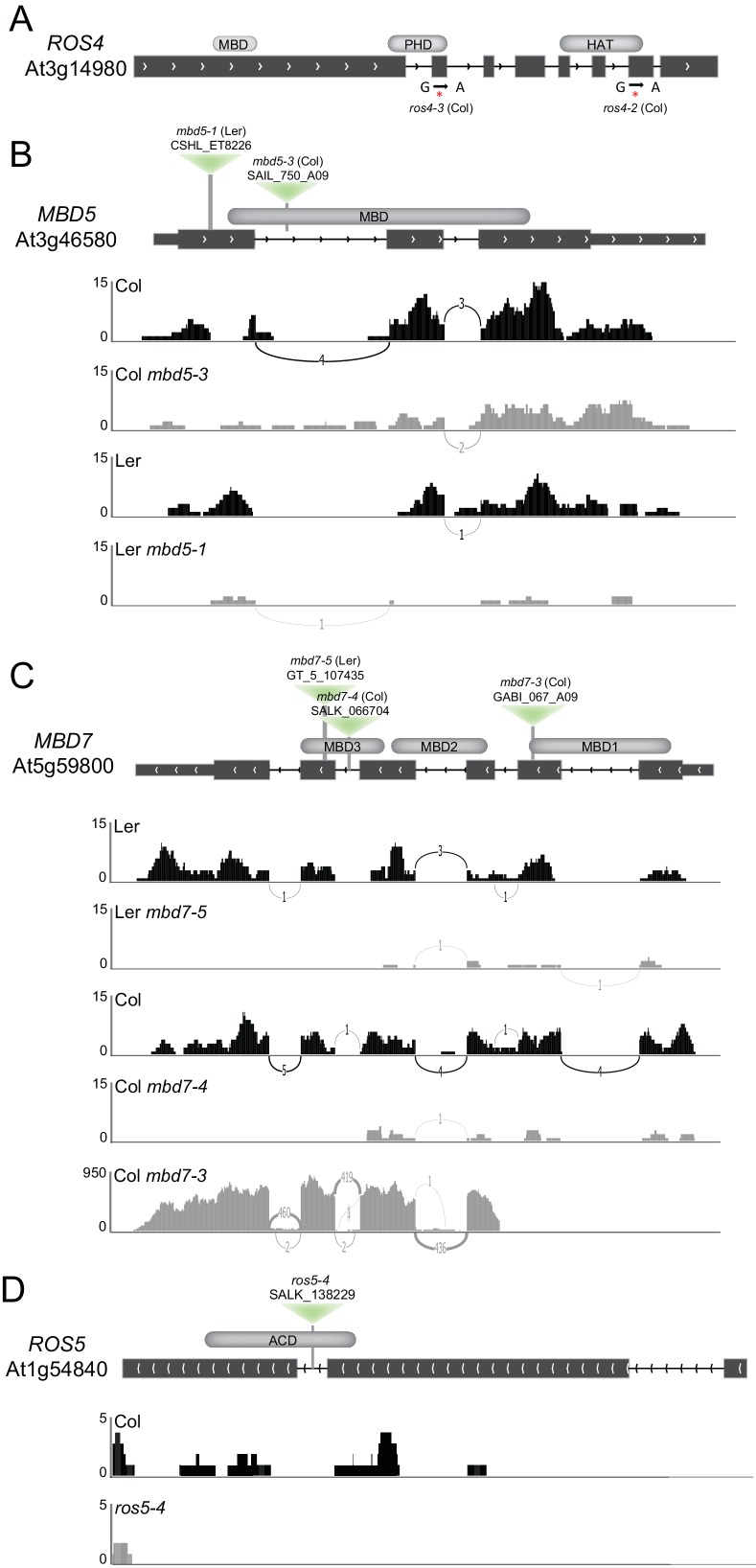 Figure 2—figure supplement 2.