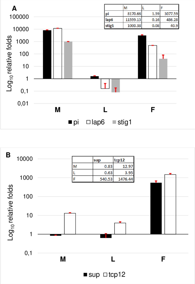 Figure 6