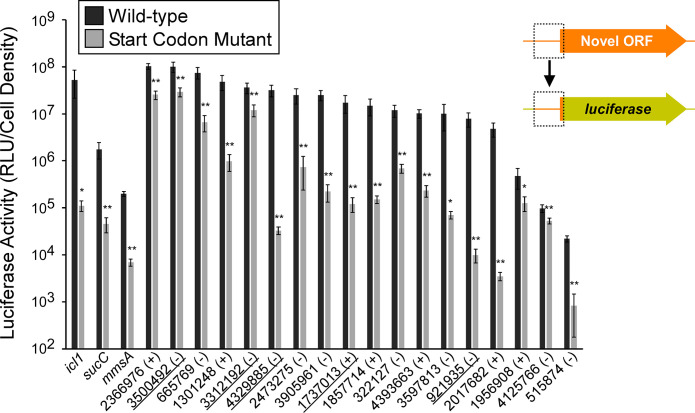 Figure 6—figure supplement 1.