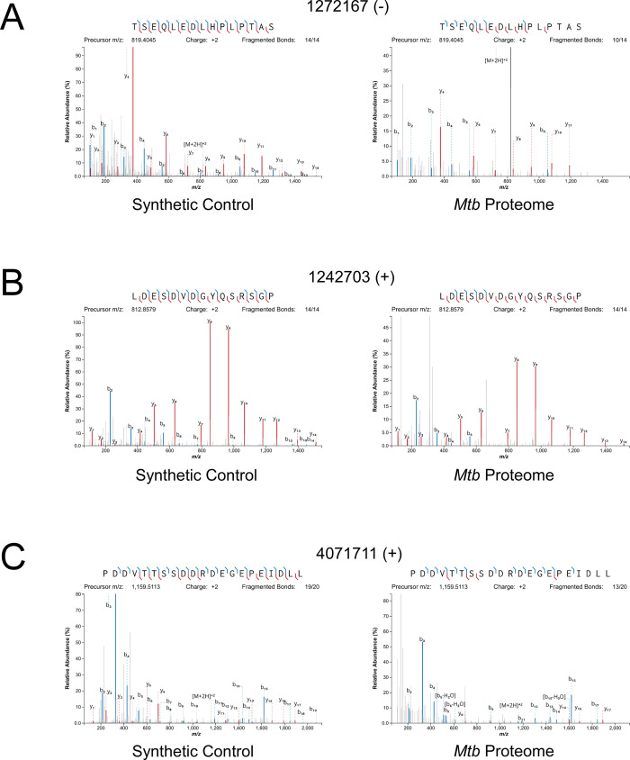 Figure 6.