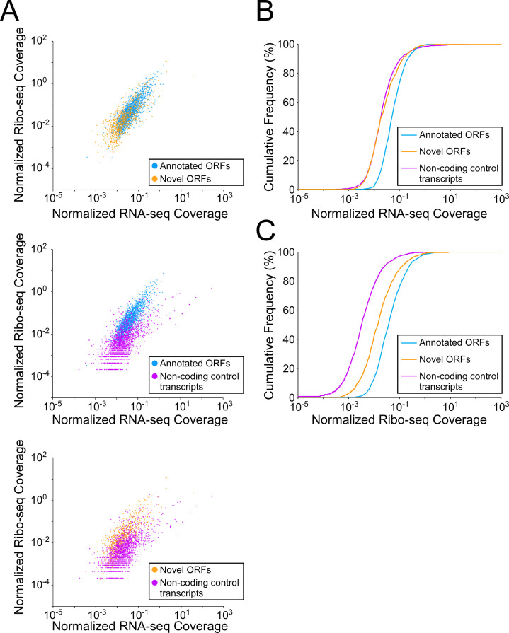 Figure 5—figure supplement 1.