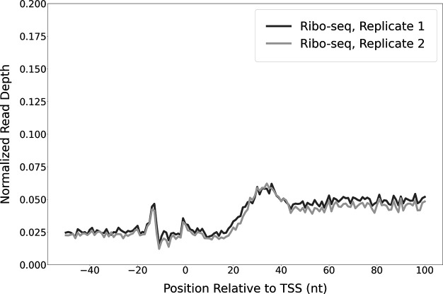 Figure 1—figure supplement 1.