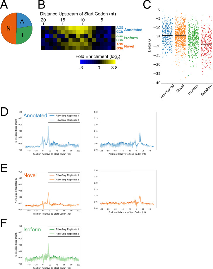 Figure 4—figure supplement 2.