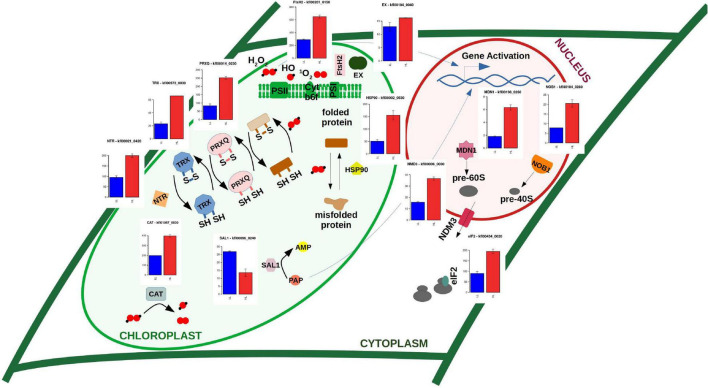 FIGURE 4