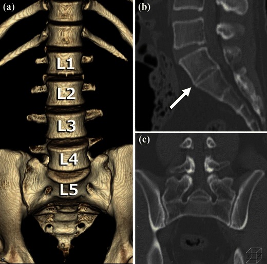 Fig. 5