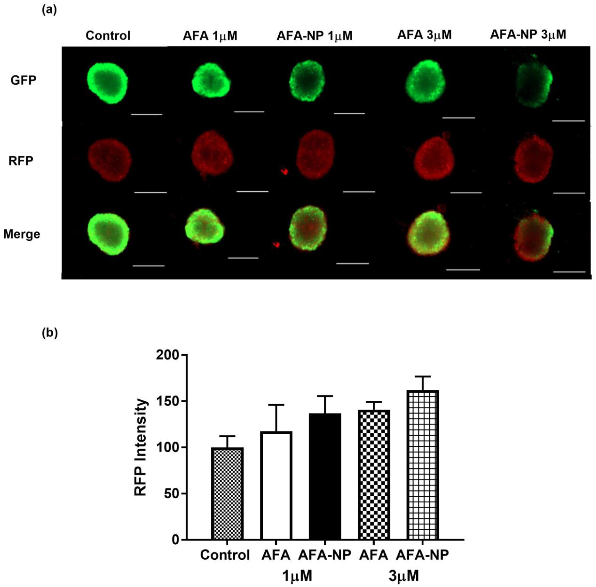 Fig. 8: