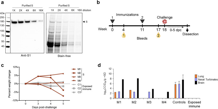 FIG 2