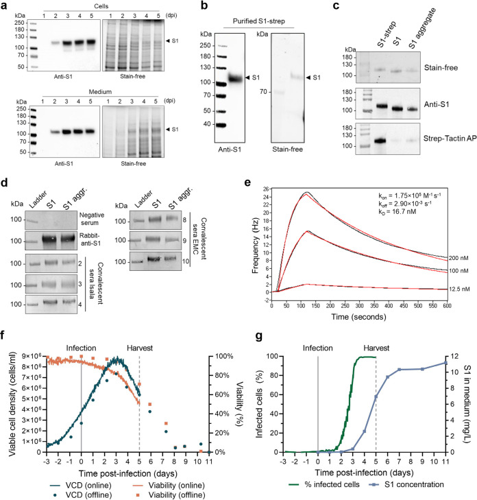 FIG 3