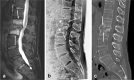 Fig. 10