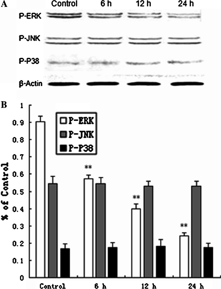 Fig. 7