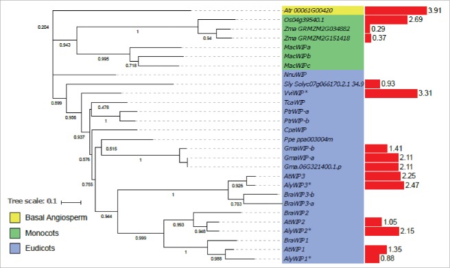 Figure 4.