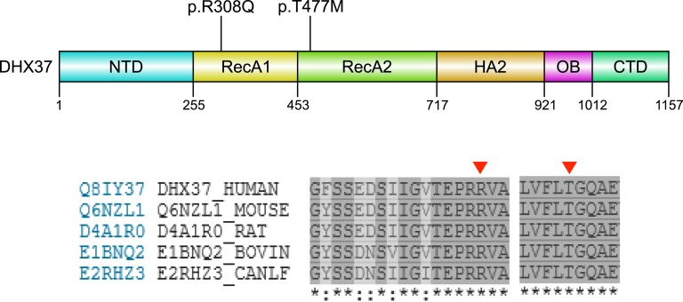 Figure 7.