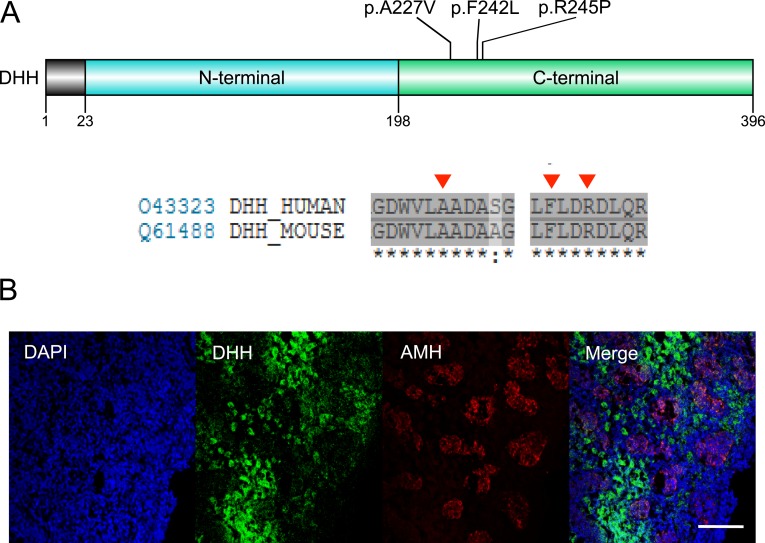 Figure 6.