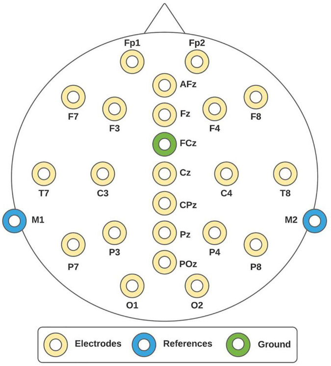 FIGURE 1