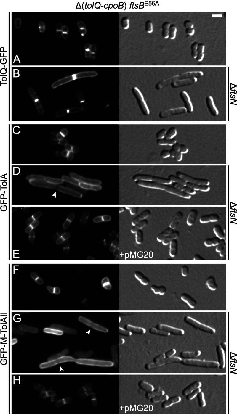 FIG 6