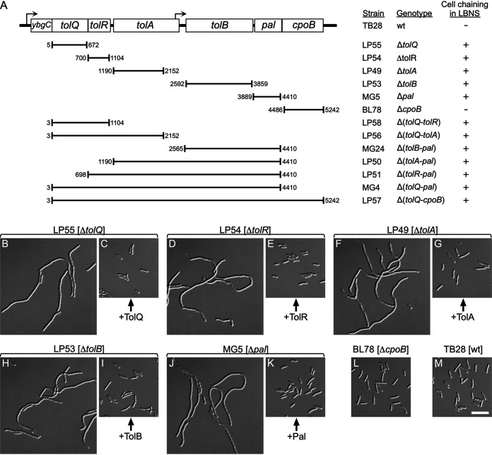 FIG 1