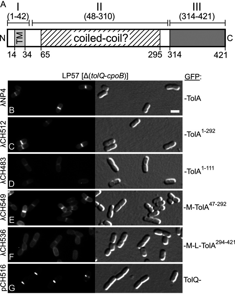 FIG 2