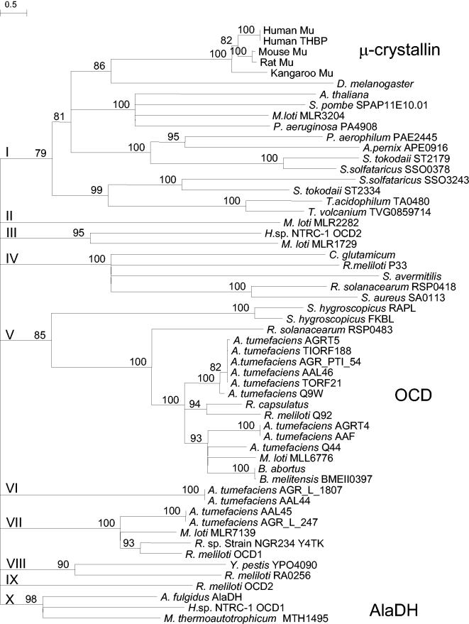 FIG. 7.