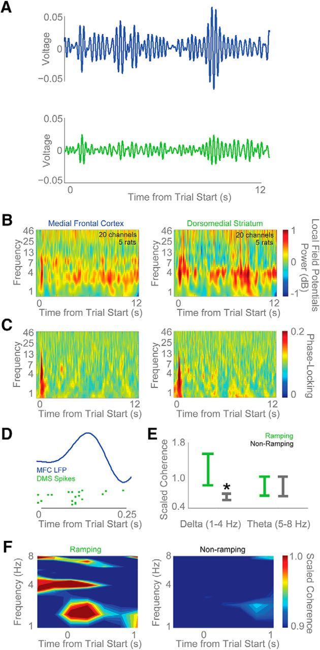 Figure 10.