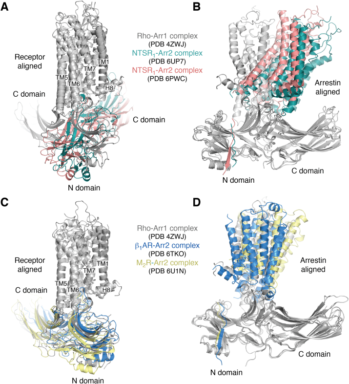 Figure 2