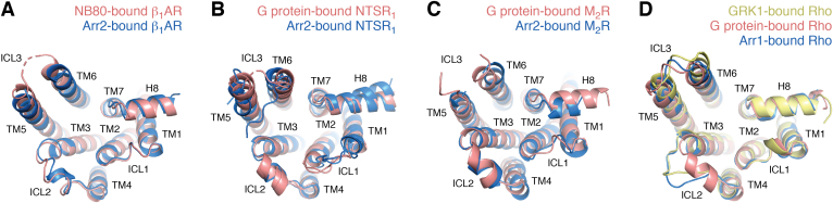 Figure 6