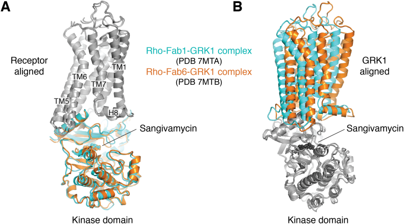 Figure 5