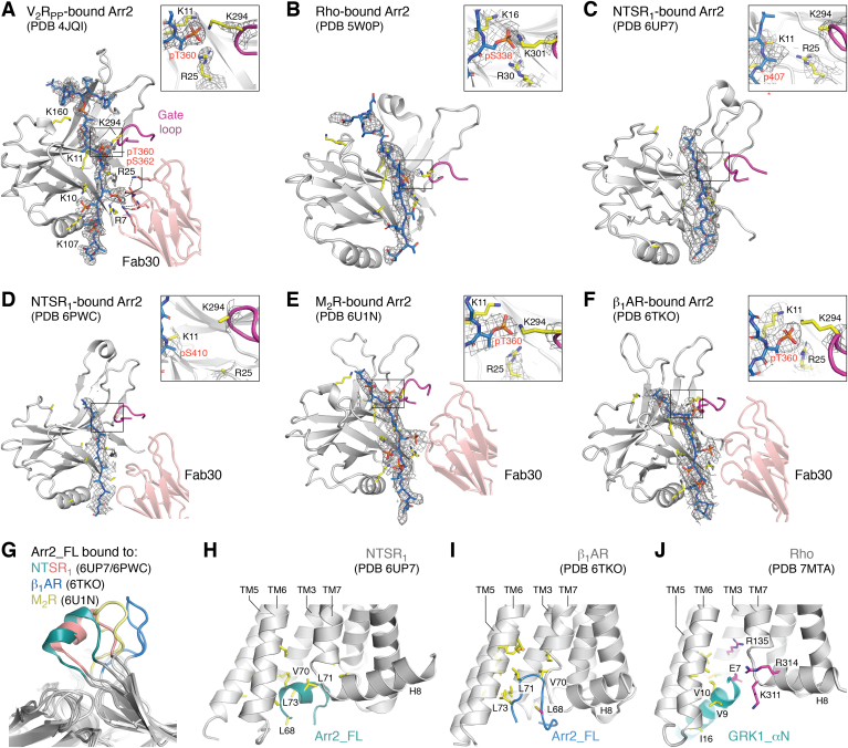 Figure 3