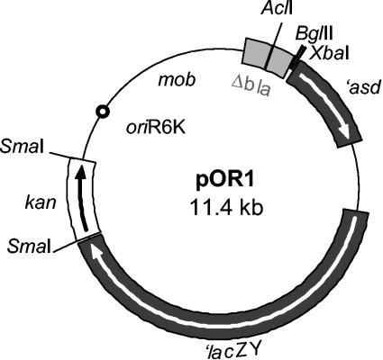 FIG. 1.