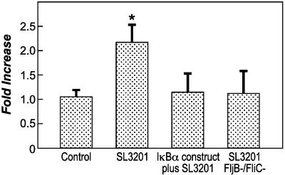 Fig. 5.